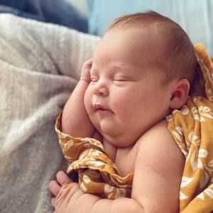 Meet your Posher, Misty